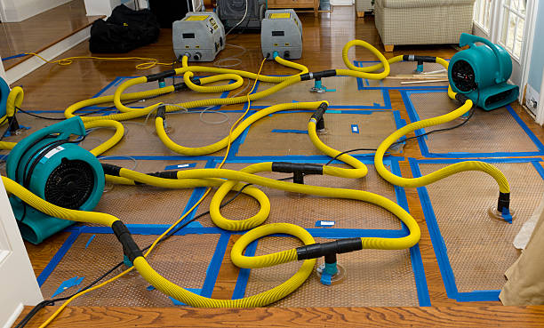 Professional Water Damage Restoration technician working in Versailles, IN